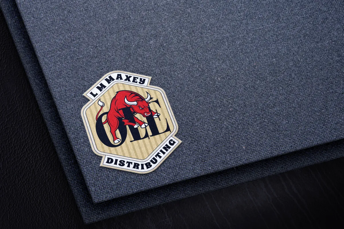 professional logo and wordmark design for brand identity