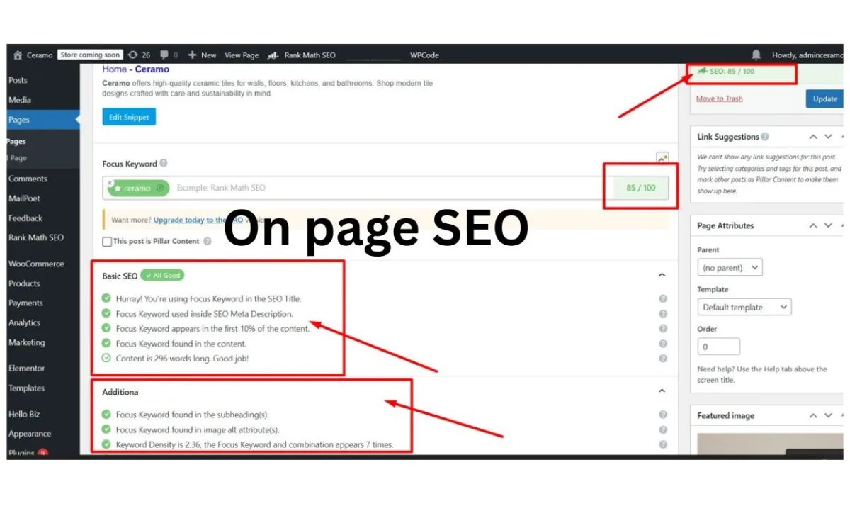 I will do on page and technical SEO for Wordpress, websites