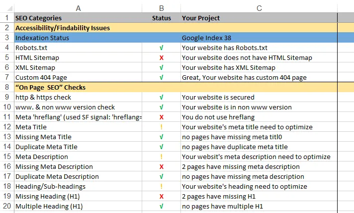 do a professional website audit and SEO consultation
