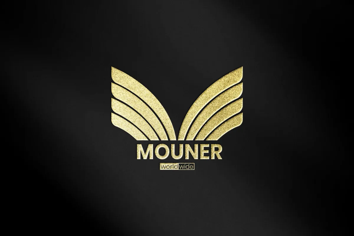 professional logo and wordmark design for brand identity