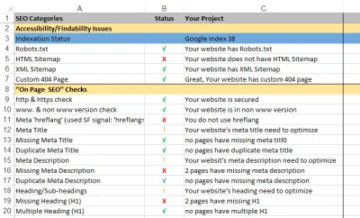 do a professional website audit and SEO consultation