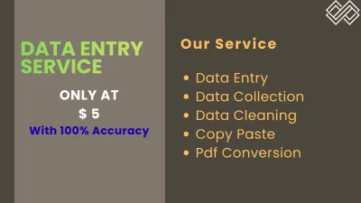 Fast & Accurate Data Entry | Excel, Google Sheets, PDF to Excel, CSV, Copy-Paste.