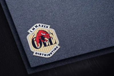 professional logo and wordmark design for brand identity