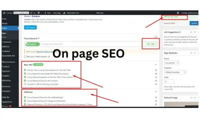 I will do on page and technical SEO for Wordpress, websites