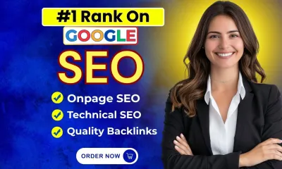 I will do on page and technical SEO for Wordpress, websites